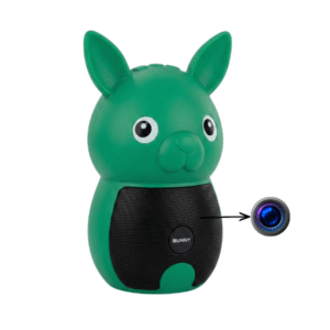 Hidden Speaker Spy Camera for surveillance